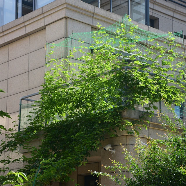 0,9-5 M*1,8 M Nejlon Kert Háló Loofah Reggeli Dicsőség Virágok Szőlő Növények Mászás Nettó Uborka Szőlőnövekedés Tartó Tartók 2022 - Image 4