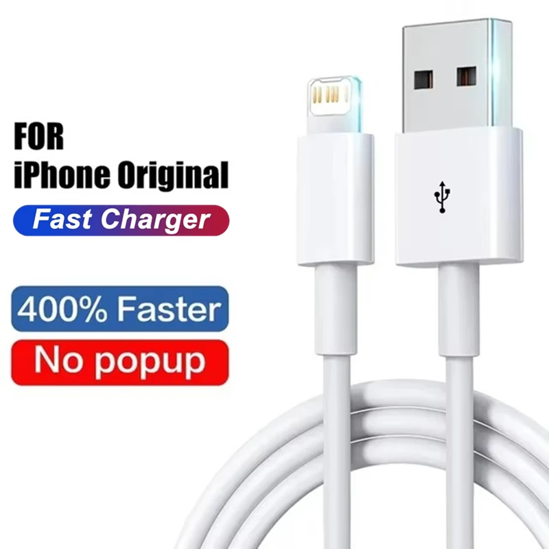 USB-A to L Cable
