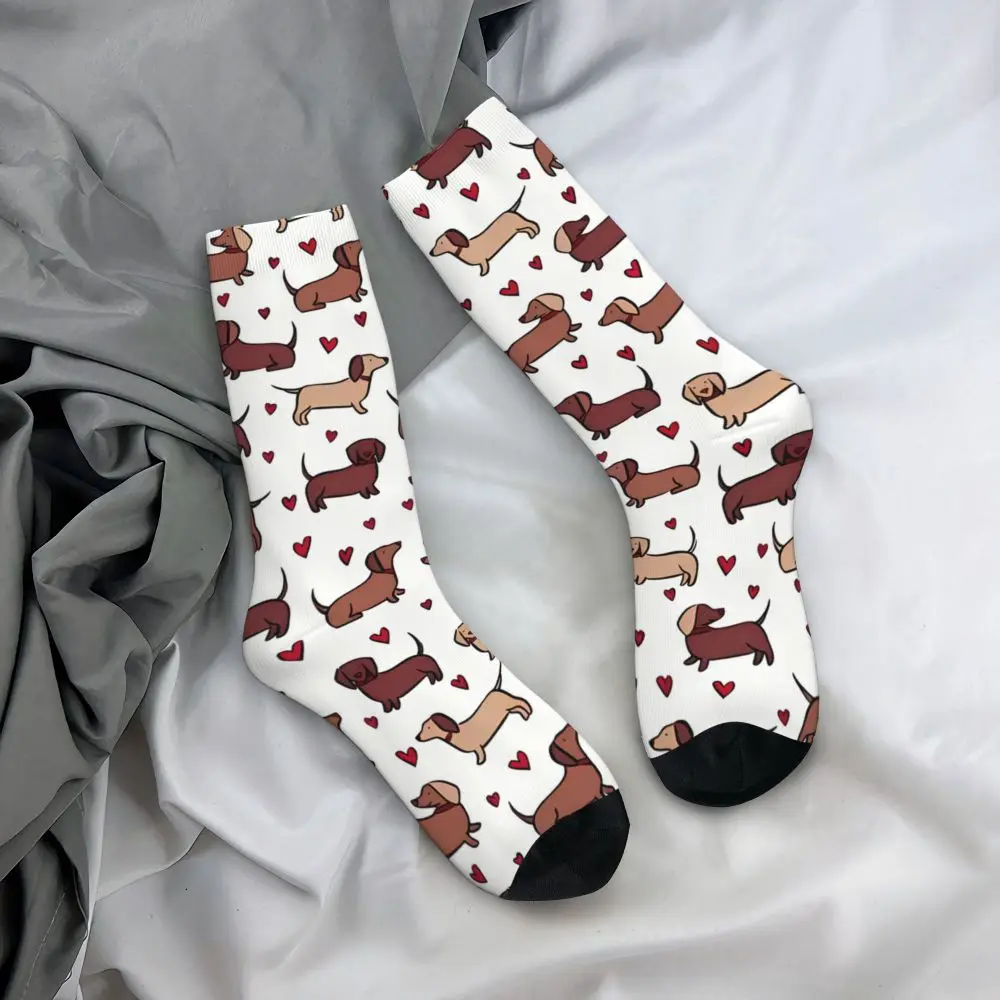 funny-dachshund-print-socks-for-men-women-autumn-stockings