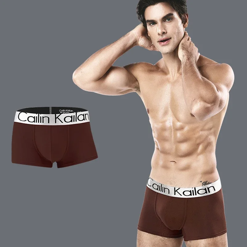Boxer Shorts Men Underwear Brand Men Underwear Boxer Silk Mens Underpants Male Panties Boxers Breathable