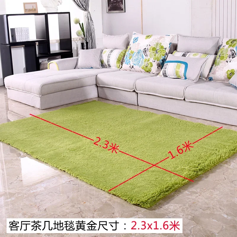 Anti-slip Large Floor Carpets For Living Room Modern Area Rug For Bedroom Soft and Comfortable Rug Custom 4.5cm thick 200*300CM