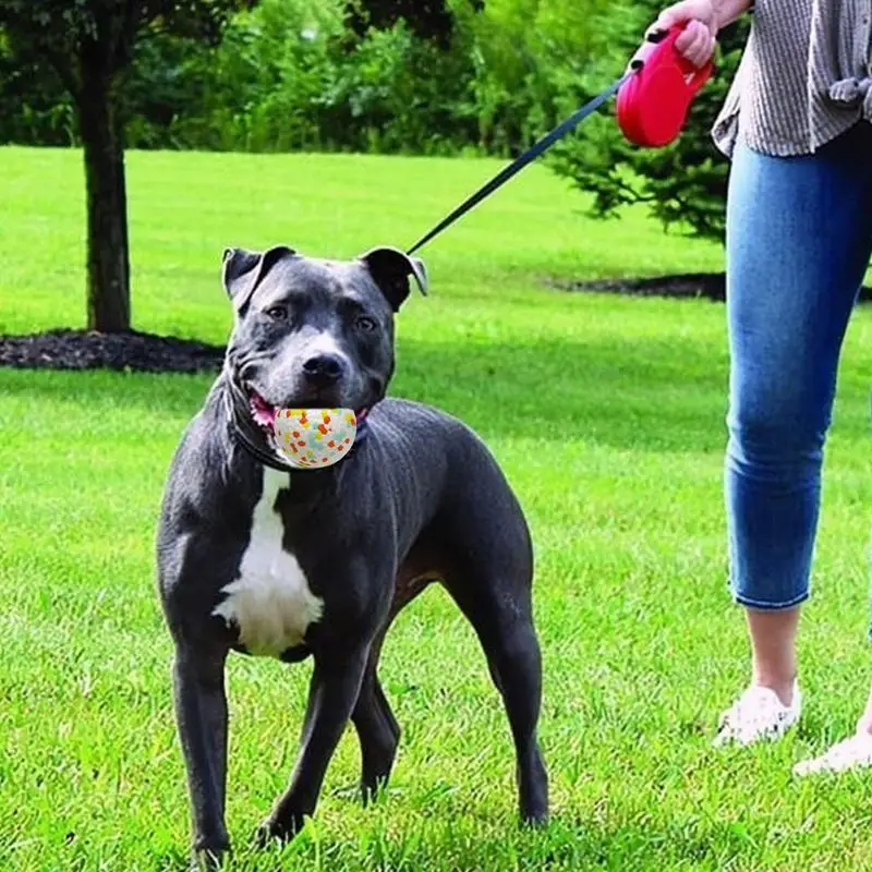 Dog Ball Pet Dog Toys Cat Puppy Sounding Toy Polka Squeaky Tooth Cleaning Ball Tpr Training Pet Teeth Masticare Toy Thorn Balls