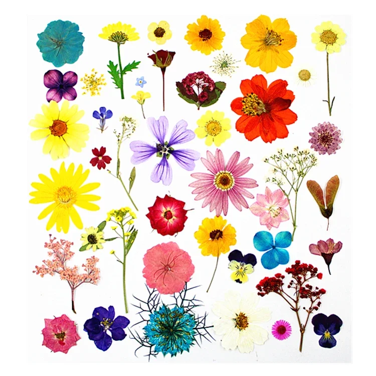 

38pcs/lot,Natural Pressed flowers petals collection,Eternal petals DIY Wedding invitation Bookmark Card,Flores Facial Decoration