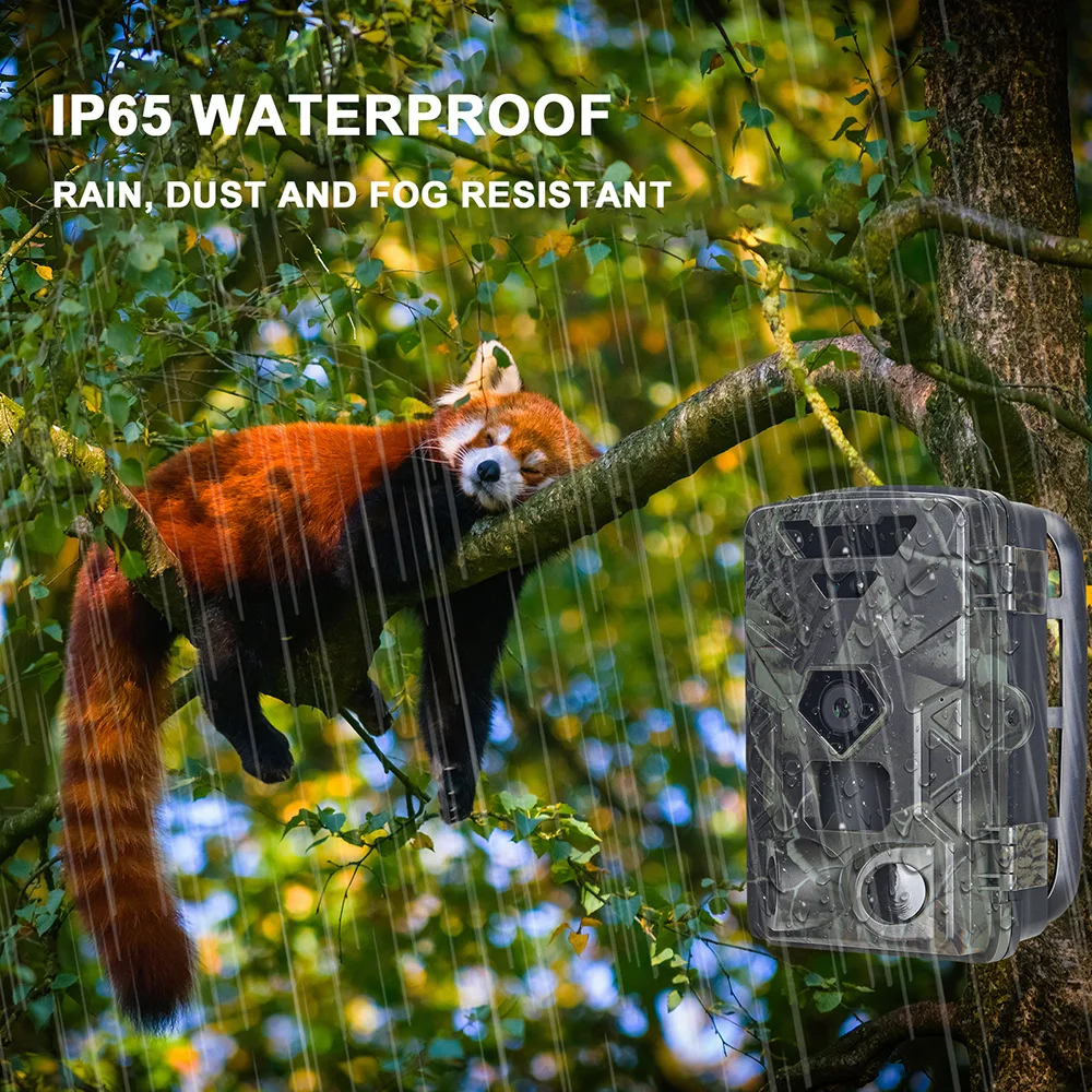 Trail Camera Night Vision Motion Activated Outdoor 50MP 4K Waterproof Nature Scouting Trap Game Cam Hide infrare Camera HC-881A