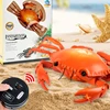 Control Toy for Children RC Remote Control  Novelty Tortoise Ants  Spiders Crabs Model Kids Boys Girl Electronic Gift 3