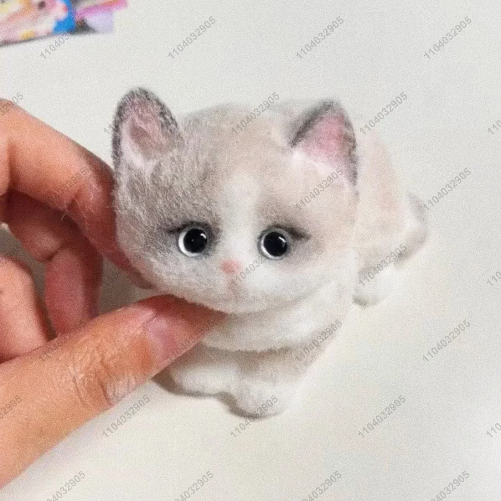 Ragdoll