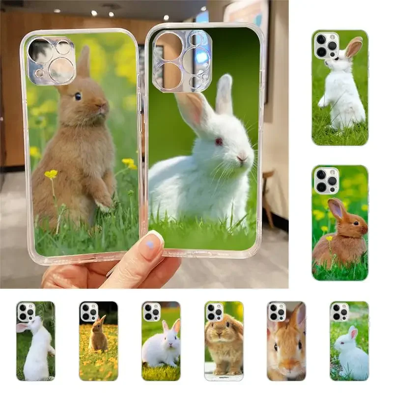

Cute Bunny Rabbit Phone Case For Iphone 7 8 Plus X Xr Xs 11 12 13 15 Mini Mobile Iphones 14 Pro Max Case