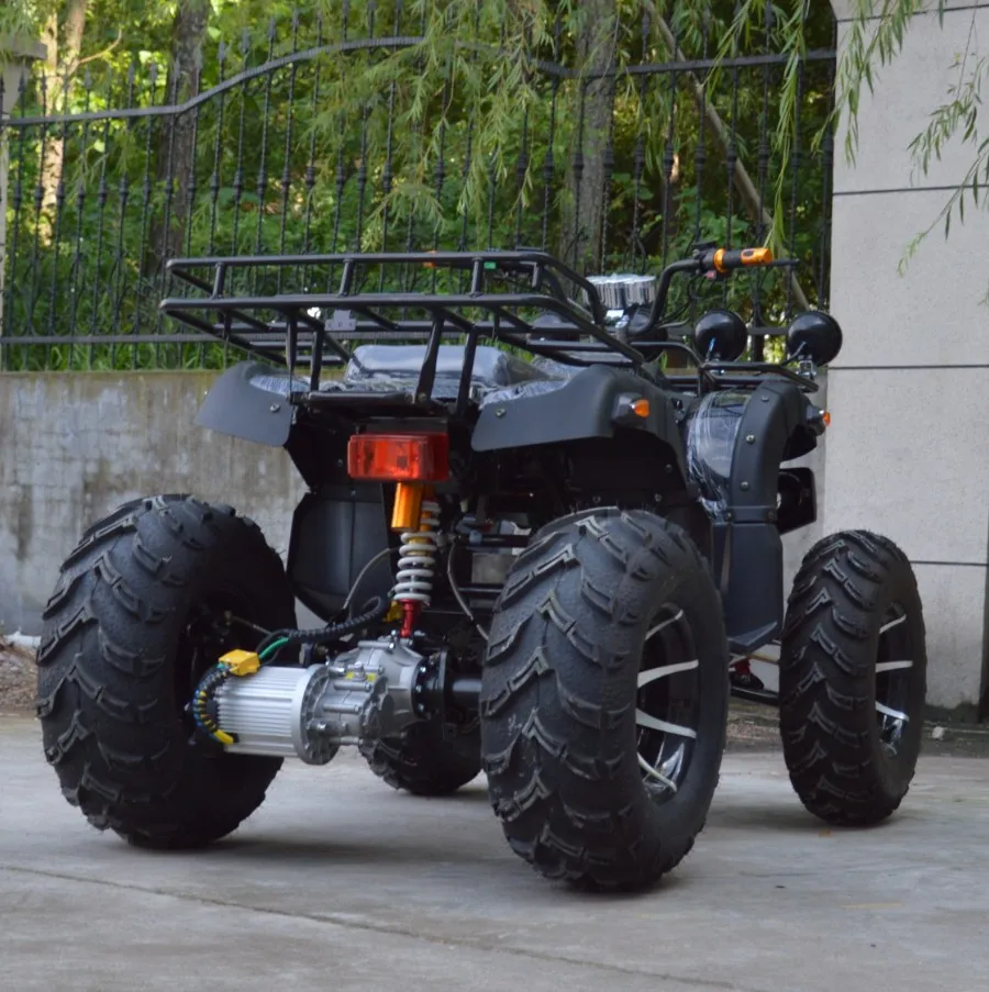 Рисунок 6 - Взрослые 60v 4x4 четыре колеса