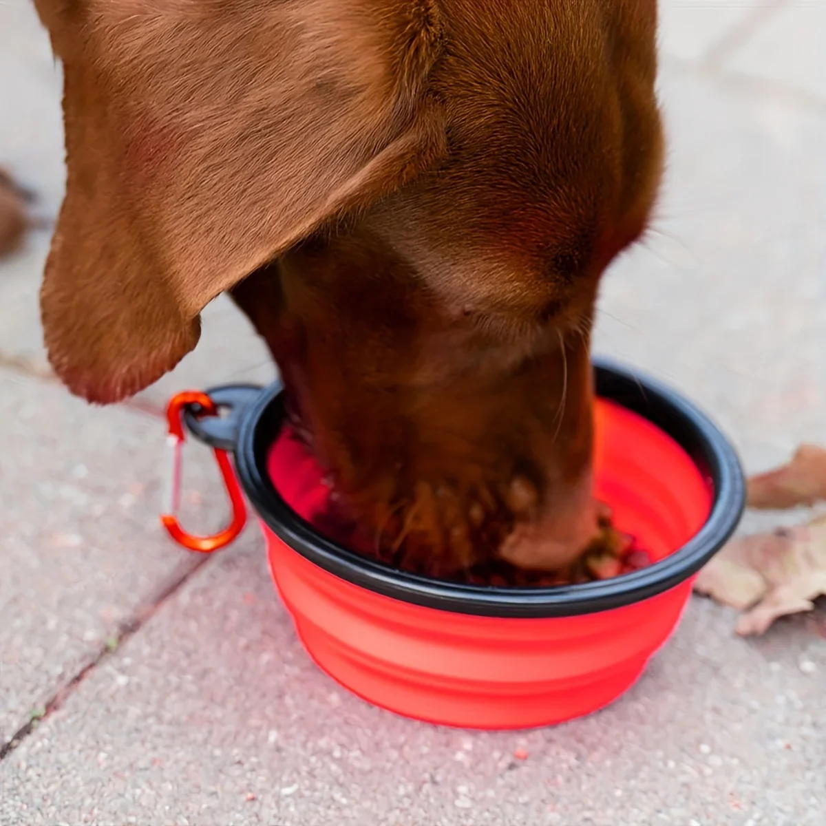 650ML Folding Black Frame Bowl with Keychain Pet Bowl Portable Travel Bowl Convenient Cat Bowl Not Easy to Deform Folding Bowl