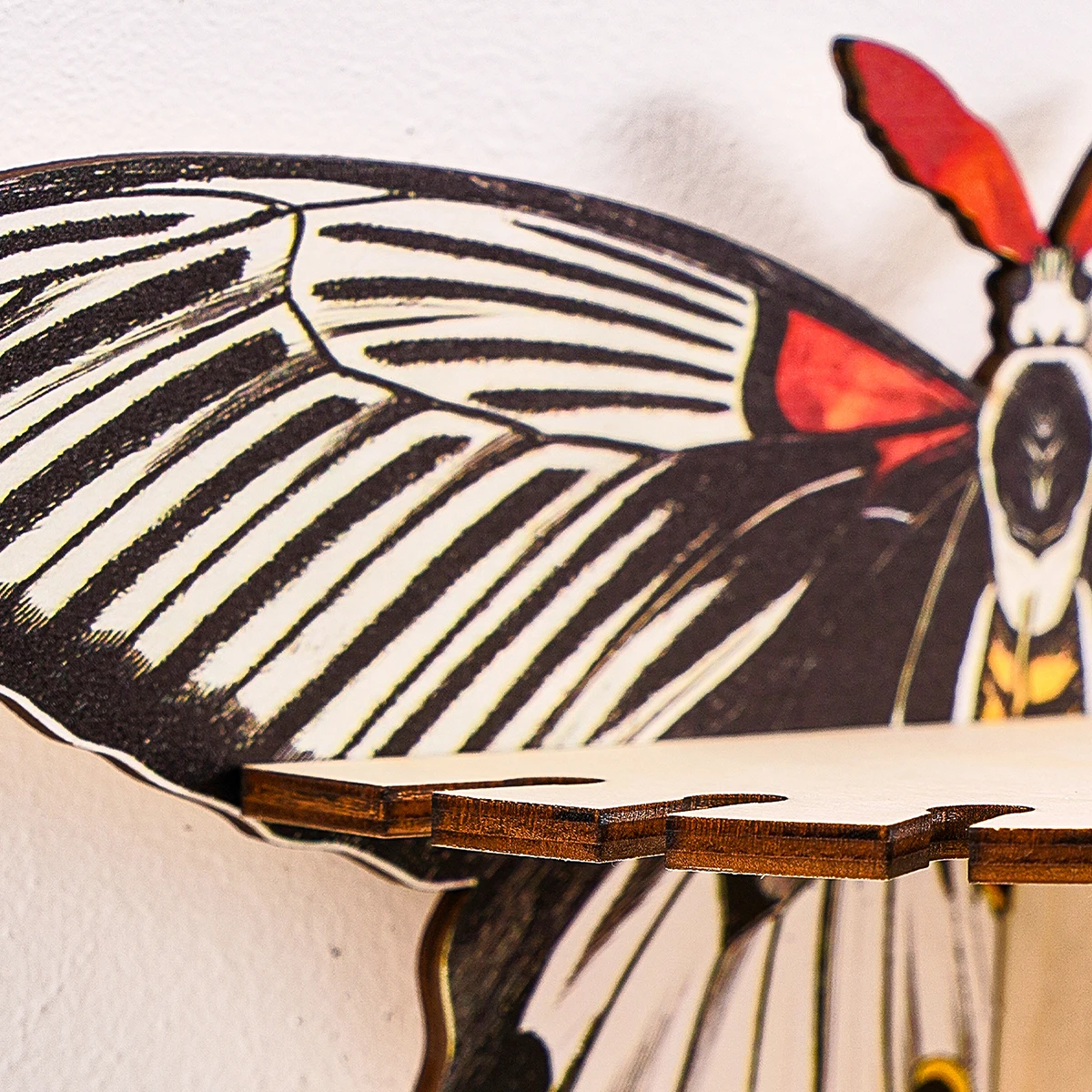 1PC creative simple wall paste tiger butterfly storage display rack (without nails), colorful creative butterfly, butterfly deco