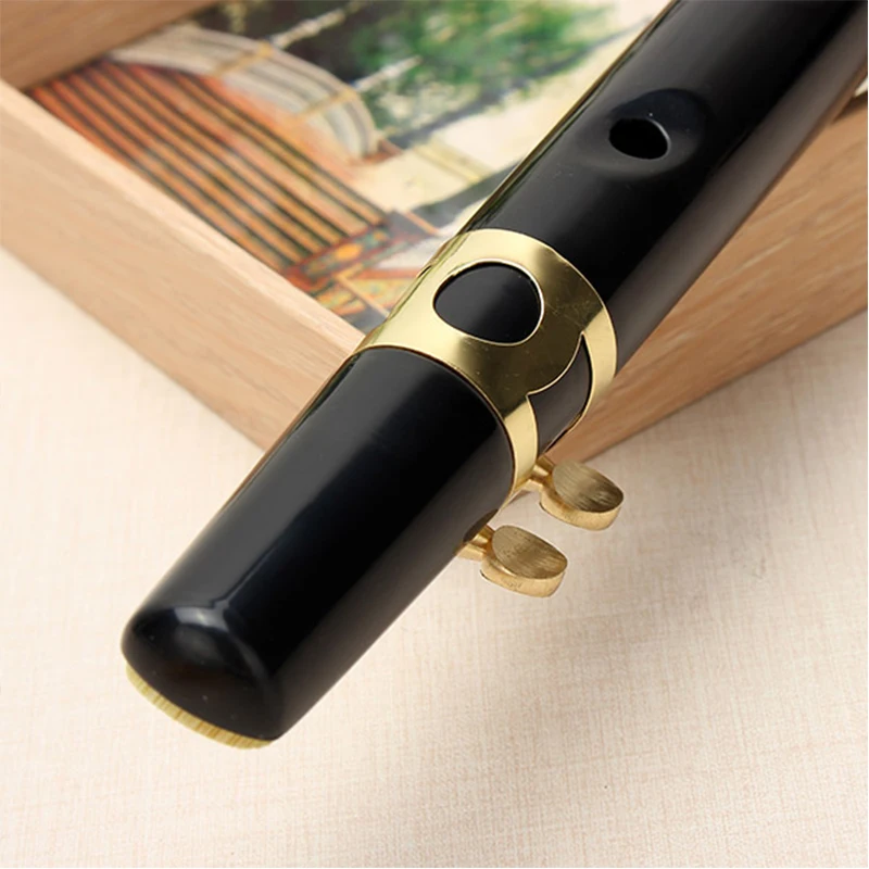 Pocket Sax Alto C Tune Mini Sax Saxophone Little ophone Black With Carrying Bag Woodwind Instrument