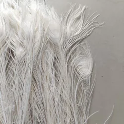 Elegant White Peacock Eye Feathers for Decorative Celebrations - Set of 10 (White)