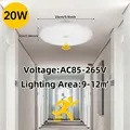 20W Sensor Light