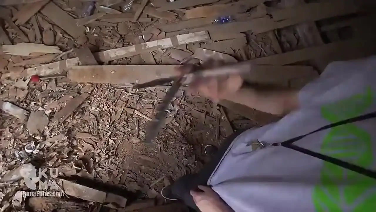 Портативный тренировочный нож-бабочка складной нож CSGO Balisong карманный Клинок для
