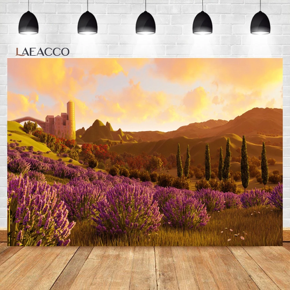 Laeacco ö    ,  , ʿ ߻ȭ, ܵ ,   ʻȭ 