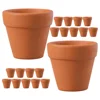20 Pcs Terracotta Flower Pot Small Cactus Bulk Clay Basin Plant Mini for Plants Healthy Growth Decor Ceramic 5