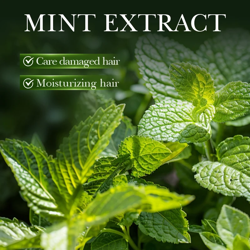 زيت النعناع روزماري للشعر