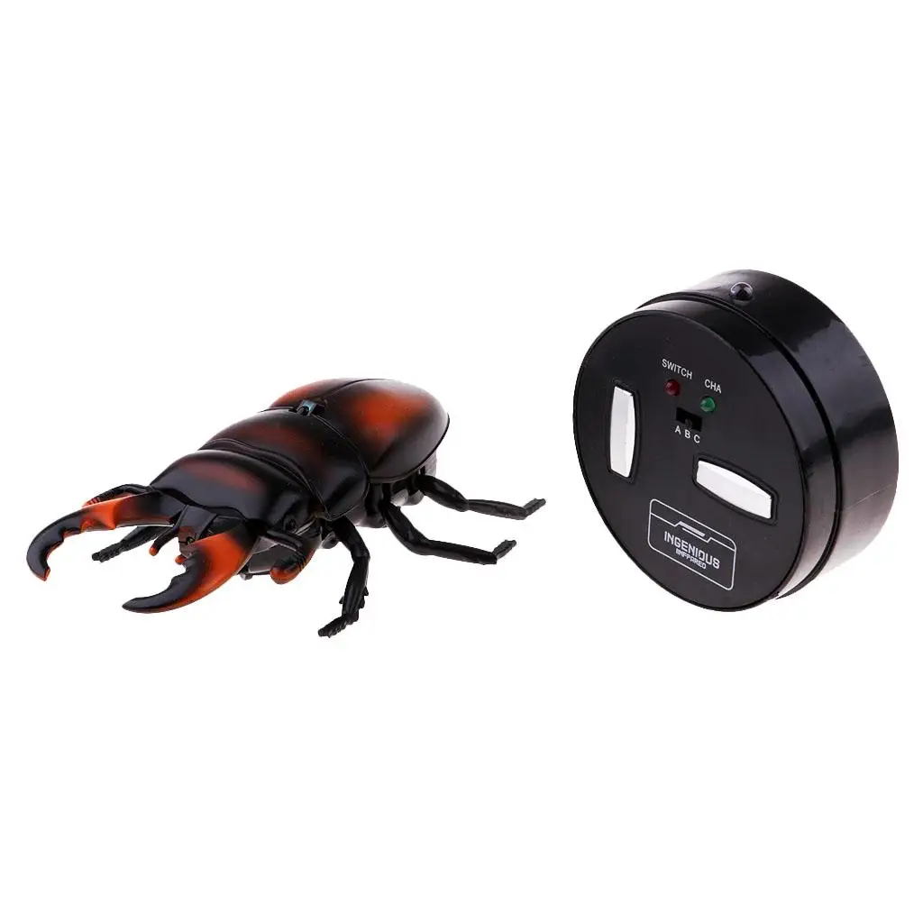 Radio Control Scared Beetles Toy w/ Controller Kids Filler