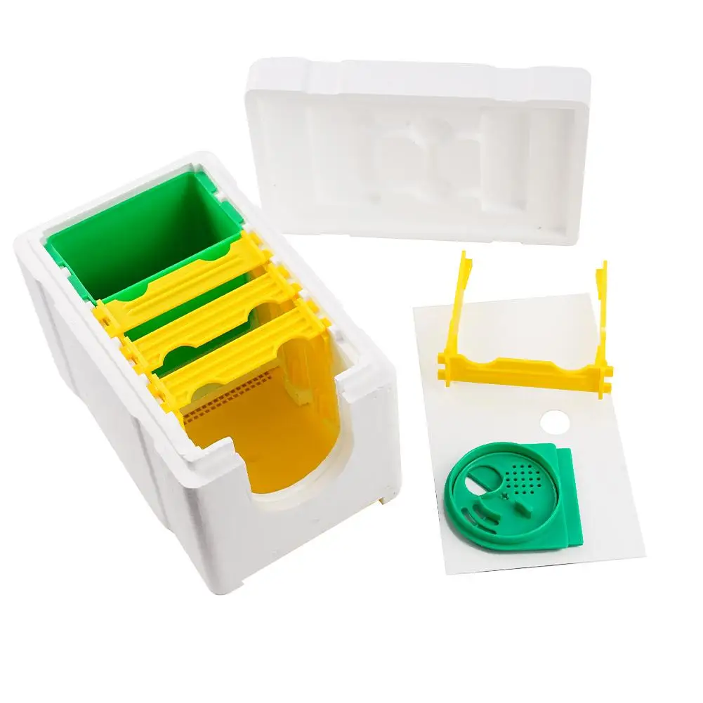 

New Queen Bee Rearing Mating Beehive Beekeeping Tools Foam Beehives Pollination BeesHive Box Beekeeper Suppliers