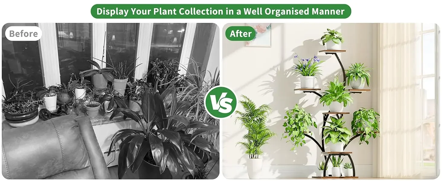 plant shelf with grow light