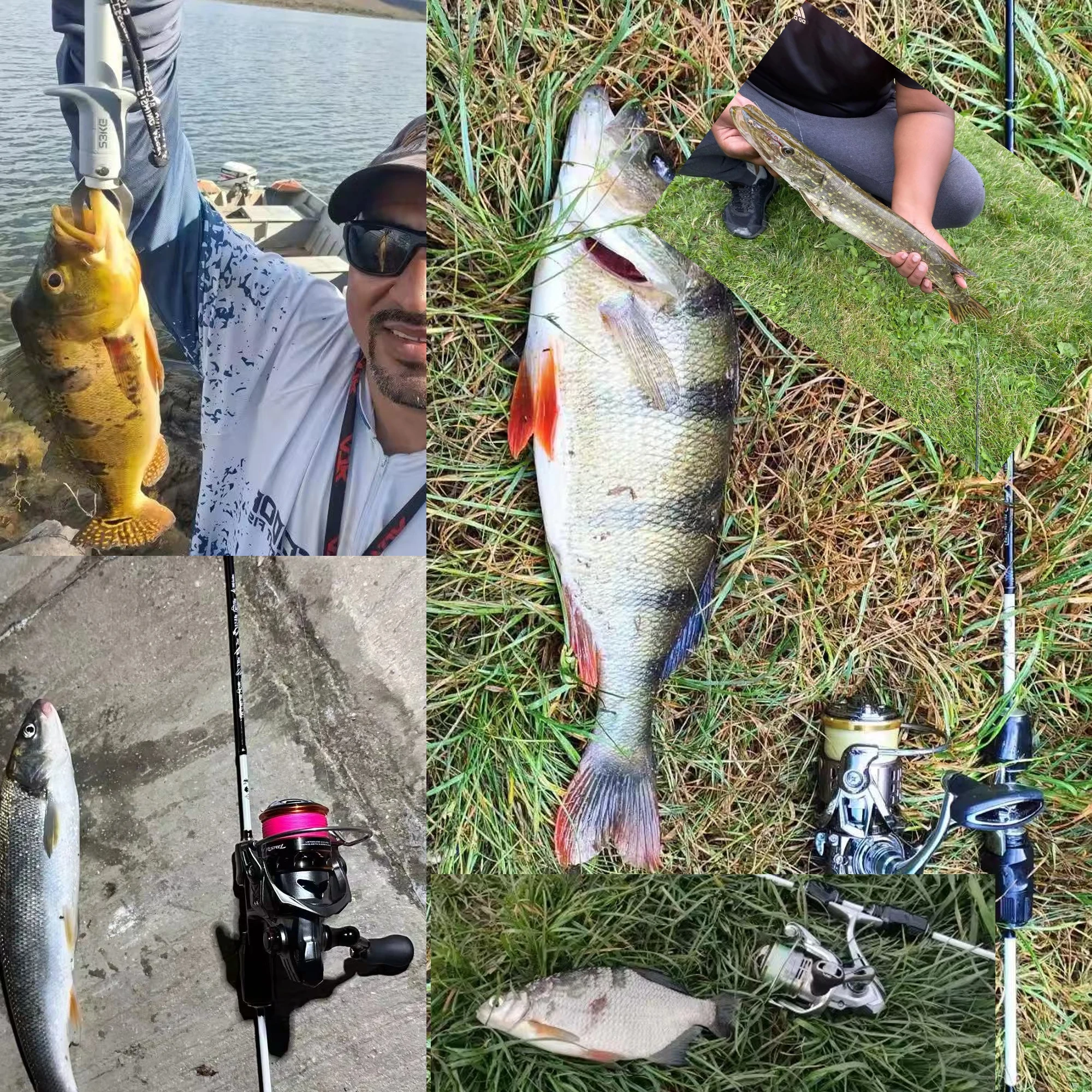 BIUTIFU Ultralight Trout Lure Rod 1.8–1.92m T800 Carbon 6