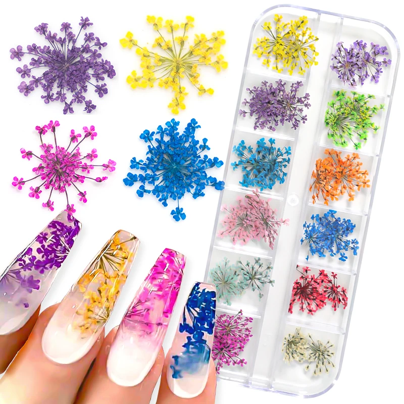 3DDryFlowerNailArtDecorationRealMiniDriedBlossomStickersNaturalFloralCharmsDesigns