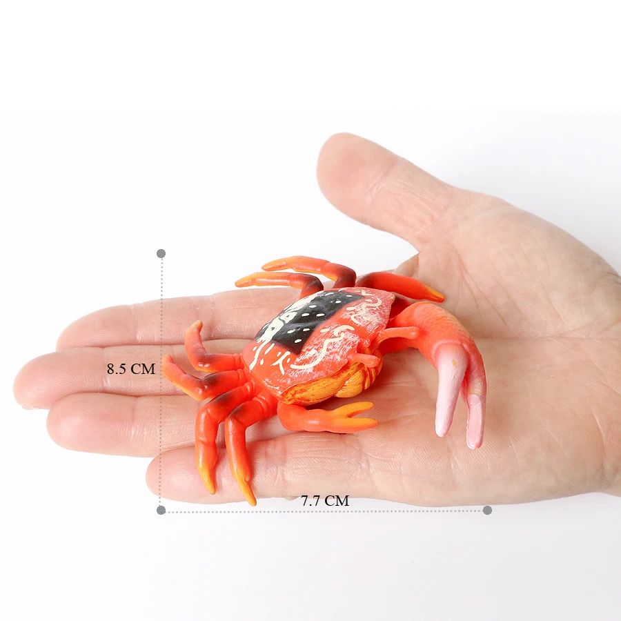 Realistische Ozean Tiere Einsiedlerkrebs Kokosnuss Krabbe Fiddler Krabbe Meer Leben Modell Action-figuren Meerestiere Spielzeug Für Home Decorati – Detail 35