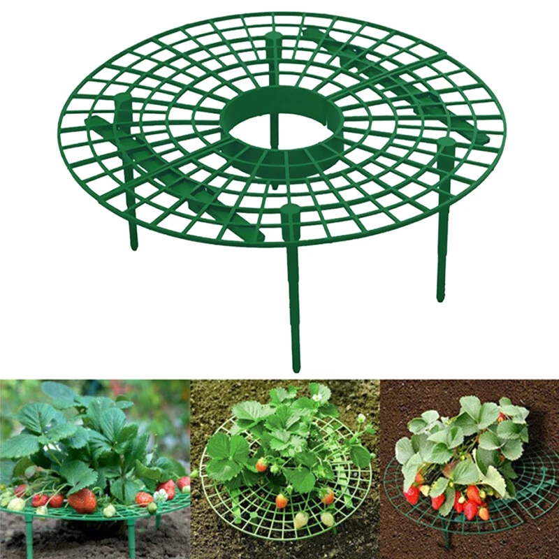 

5pcs Strawberry Plant Supports With 4 Sturdy Legs Strawberry Growing Racks Protector Frame Holder Cage From Mold Rot Dirt