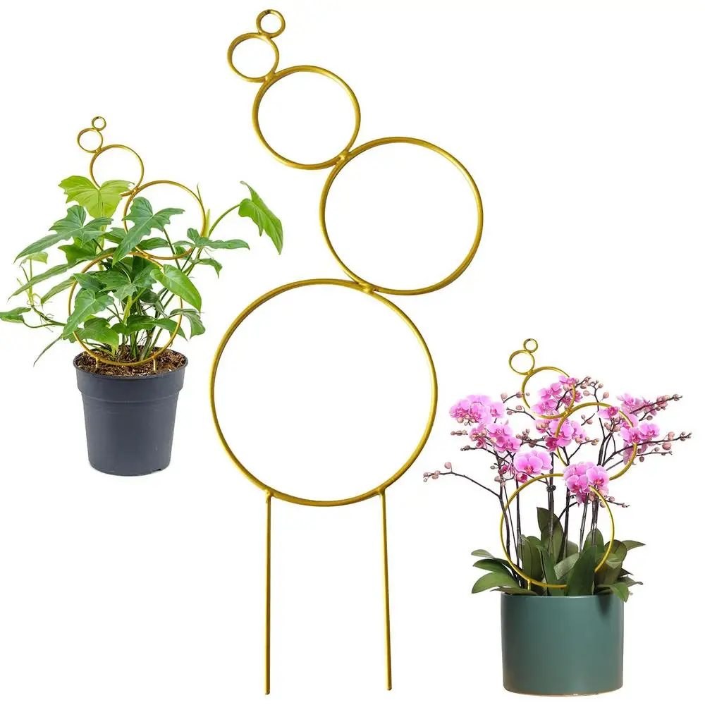 Description Picture 6 of itemTrellis For Potted Plants Indoor Small Stackable Metal Wire Houseplant Trellis For Climbing Plants Support