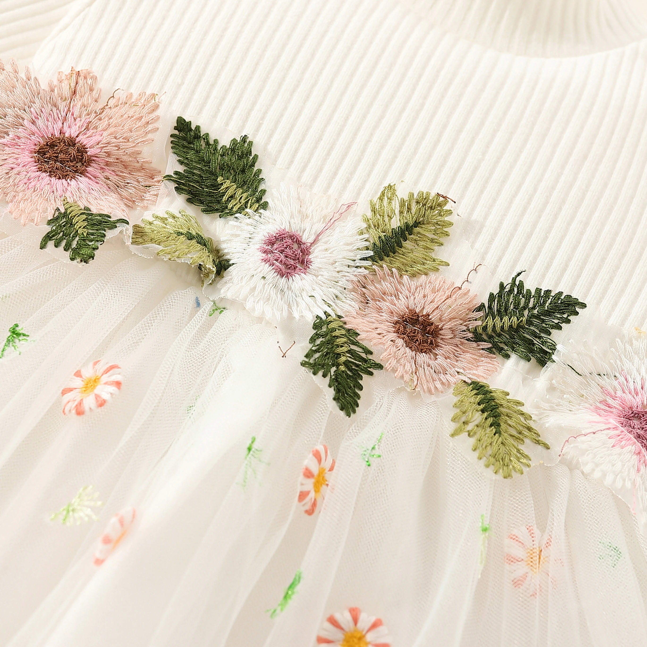 Baby Girl Embroidered Tulle Dress 4
