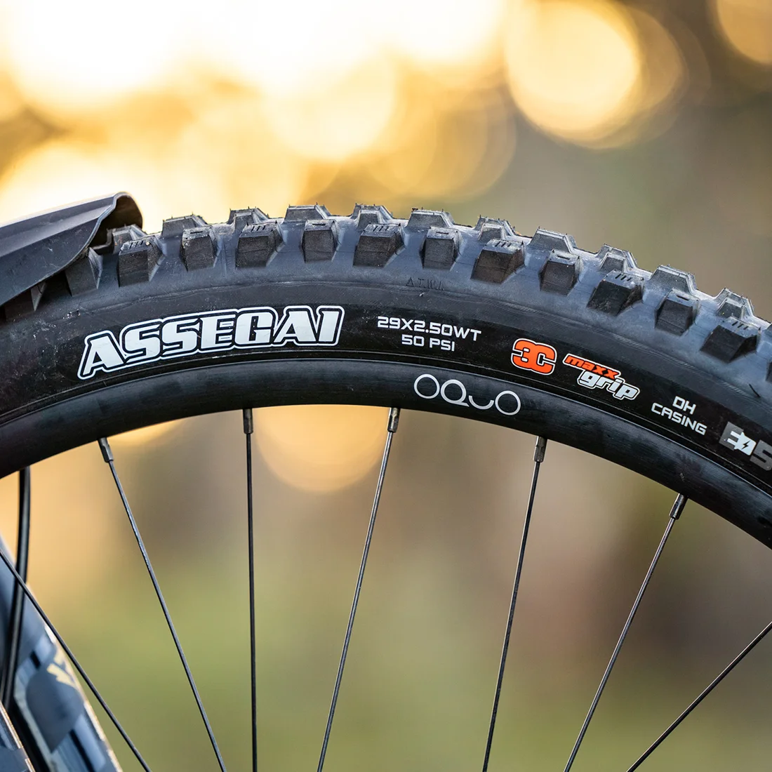 Maxxis Assegai Pneu MTB Tubeless 29 27.5 Polegadas para Downhill