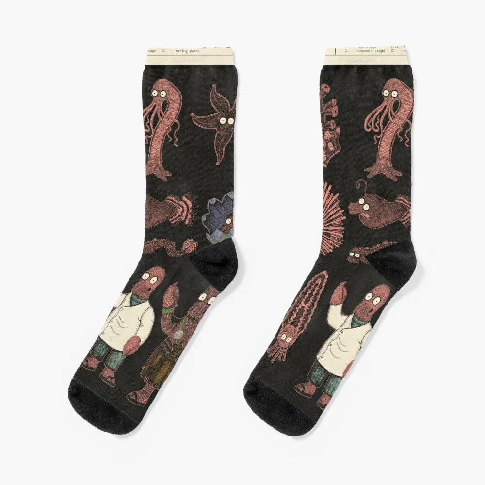 

Decapodian Life Cycle Socks valentine gift ideas new in's socks Woman Socks Men's