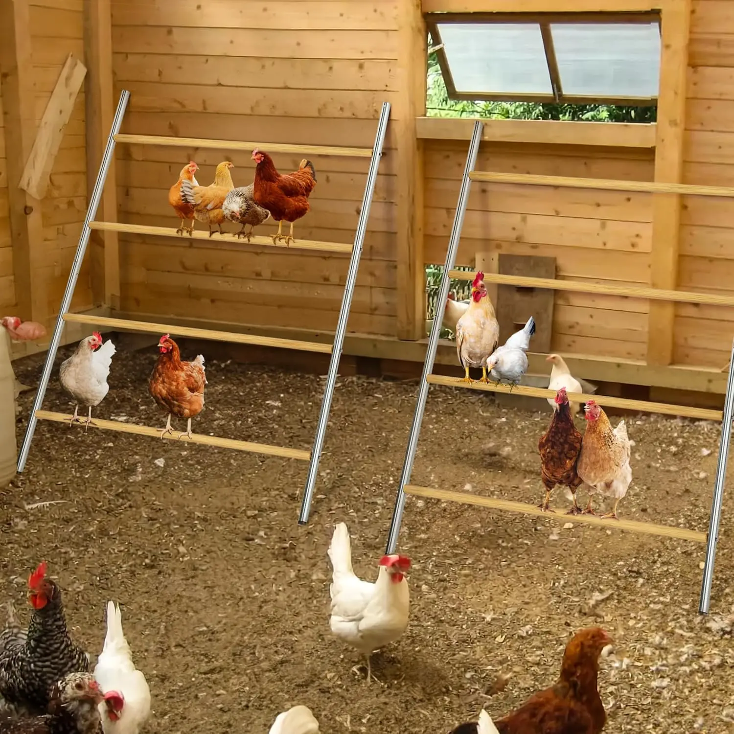 Chicken Coop Roosting Perch Essentials：Perfect for Backyard Poultry,Easy to Assemble & Clean, Fun Roost Toys Included 6