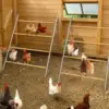 Chicken Coop Roosting Perch Essentials：Perfect for Backyard Poultry,Easy to Assemble & Clean, Fun Roost Toys Included 6