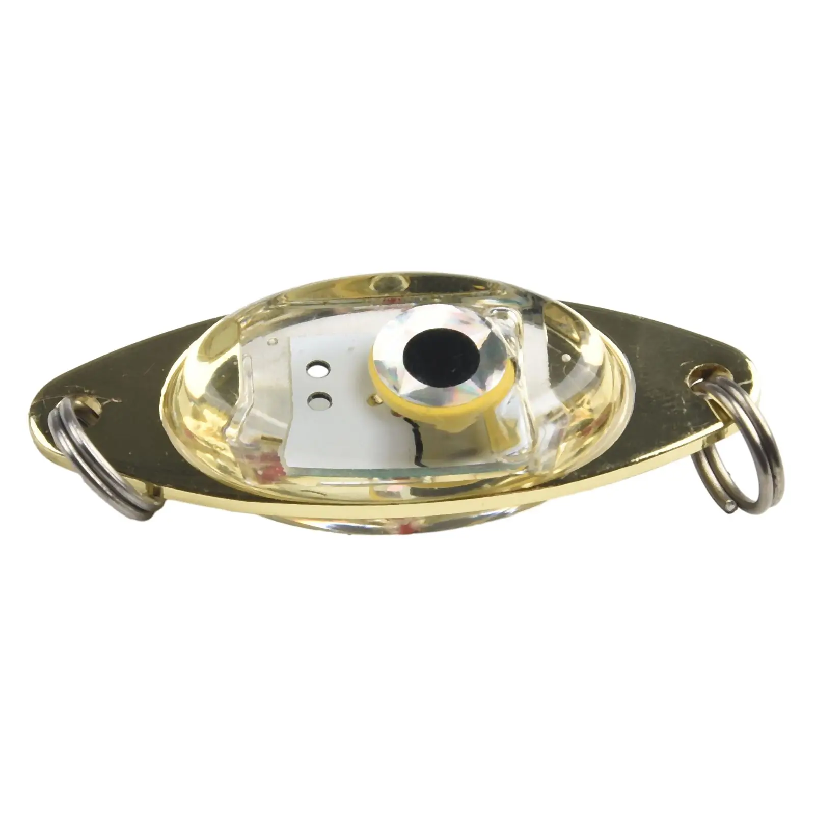 Рисунок 3 - Искусственная акриловая приманка в форме глаза