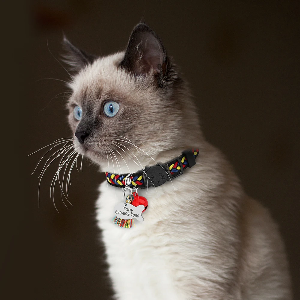 Title 27, Personalized Nylon Cat Collar Safety Breakaway ...