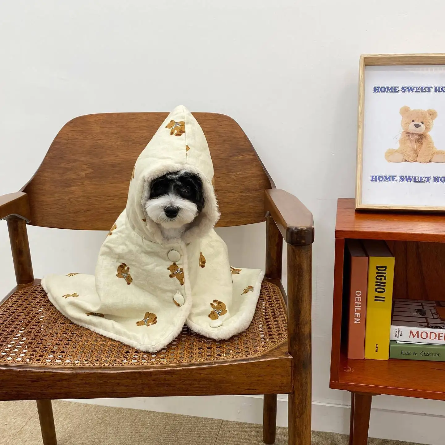 겨울 따뜻한 스카프 곰 울 담요, 애완견 케이프 담요, 수면 옷 방법 코기 두꺼운 봉제 담요, 개 망토 잠옷 선물