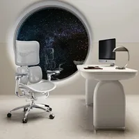 SIHOO Doro S300 Ergonomic Office Chair Computer Chair with Dual Lumbar Support 6D Armrests Adjustable Rolling Mesh Gaming Chair 2