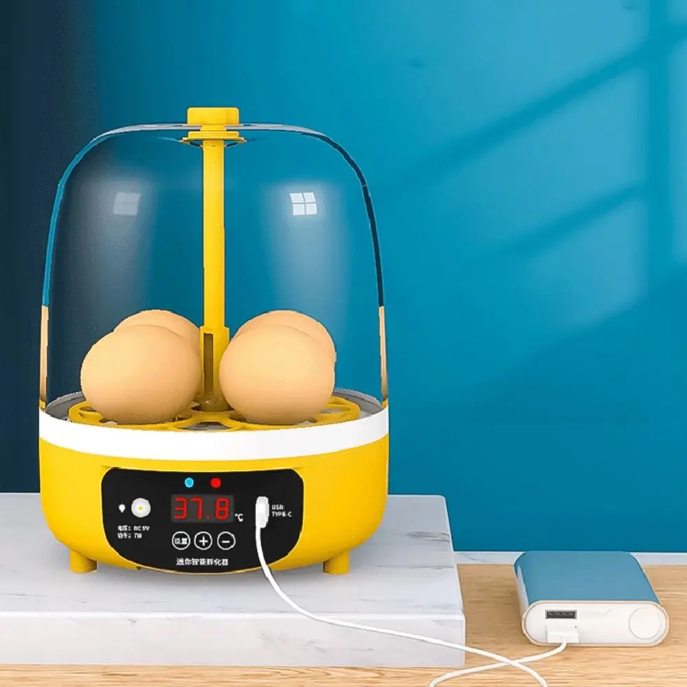 

Mini USB Egg Hatcher Electric Manual/Automatic Intelligent Incubation Brooder Adjustable Temperature Control Poultry Incubator