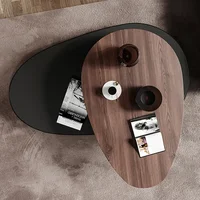 Table basse nordique avancée, luxe italien, originalité, salon, Designers, meubles de maison en bois, Salontafel FYCT 3