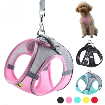 Adjustable Puppy Harness Set 1