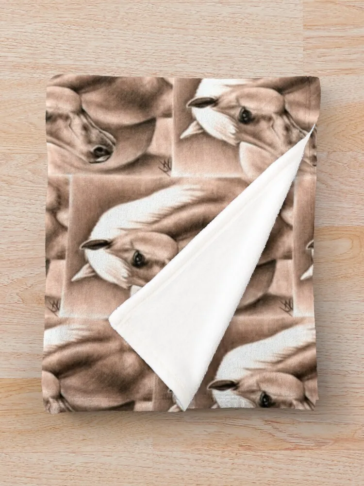 �� �ʻ�ȭ ���ø��� ������ ���, ħ��� �Ϳ��� ���