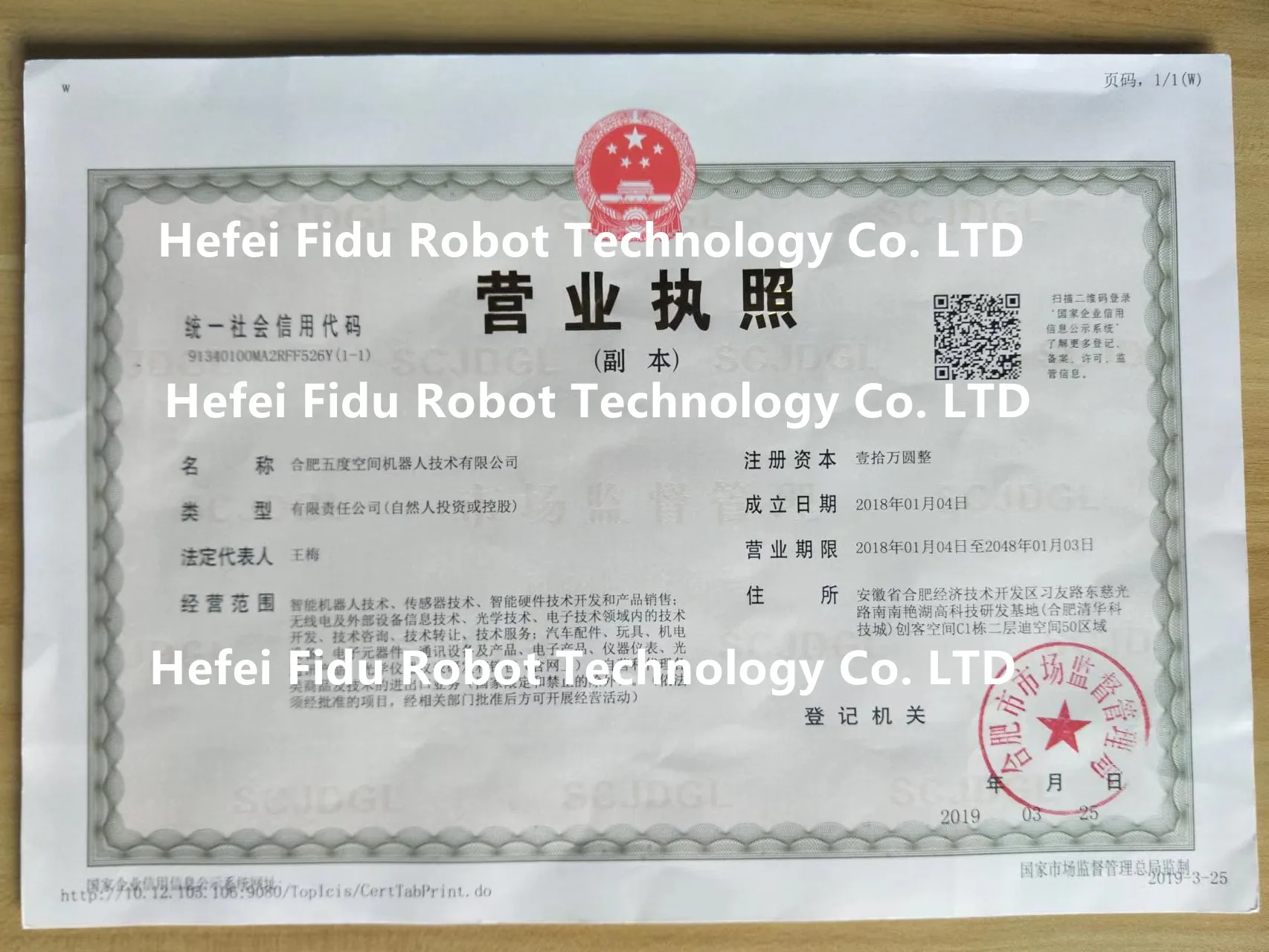 Hefei Fidurobot Store