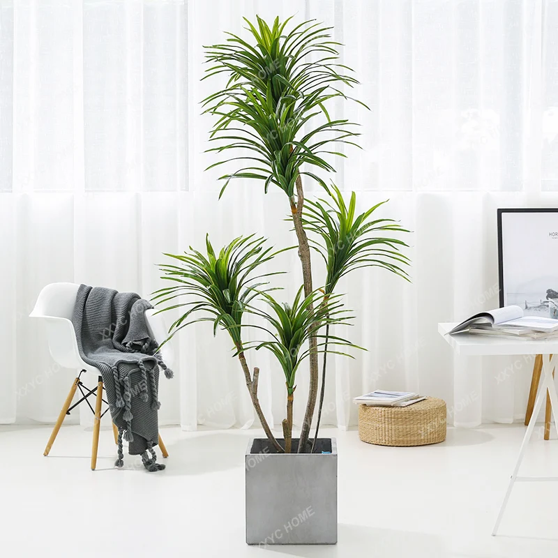 

Simulation Millennium Iron Meat Plant Fake Trees Indoor Window Dracaena Decoration Office Floor Home Greenery Flowers