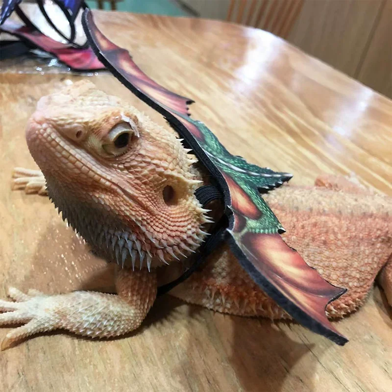 Lizard Leash Tyrannosaurus Rex Chameleon Climbing Pet Outing Leather Wing Chest Strap Chameleon Squirrel Leash Small Pet Supplie