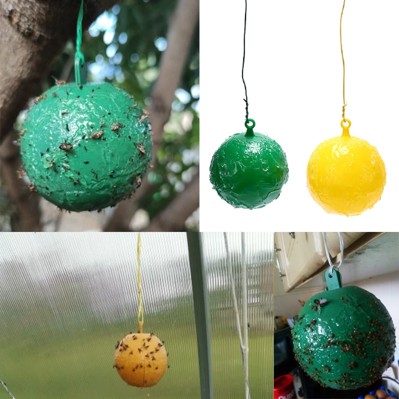 Trap Ball Fruit Fly Catcher Trappola Appiccicosa Fly Wasp Bee Giacca Gialla Giacca Gialla Outdoor Usa E Getta Hanging Fly