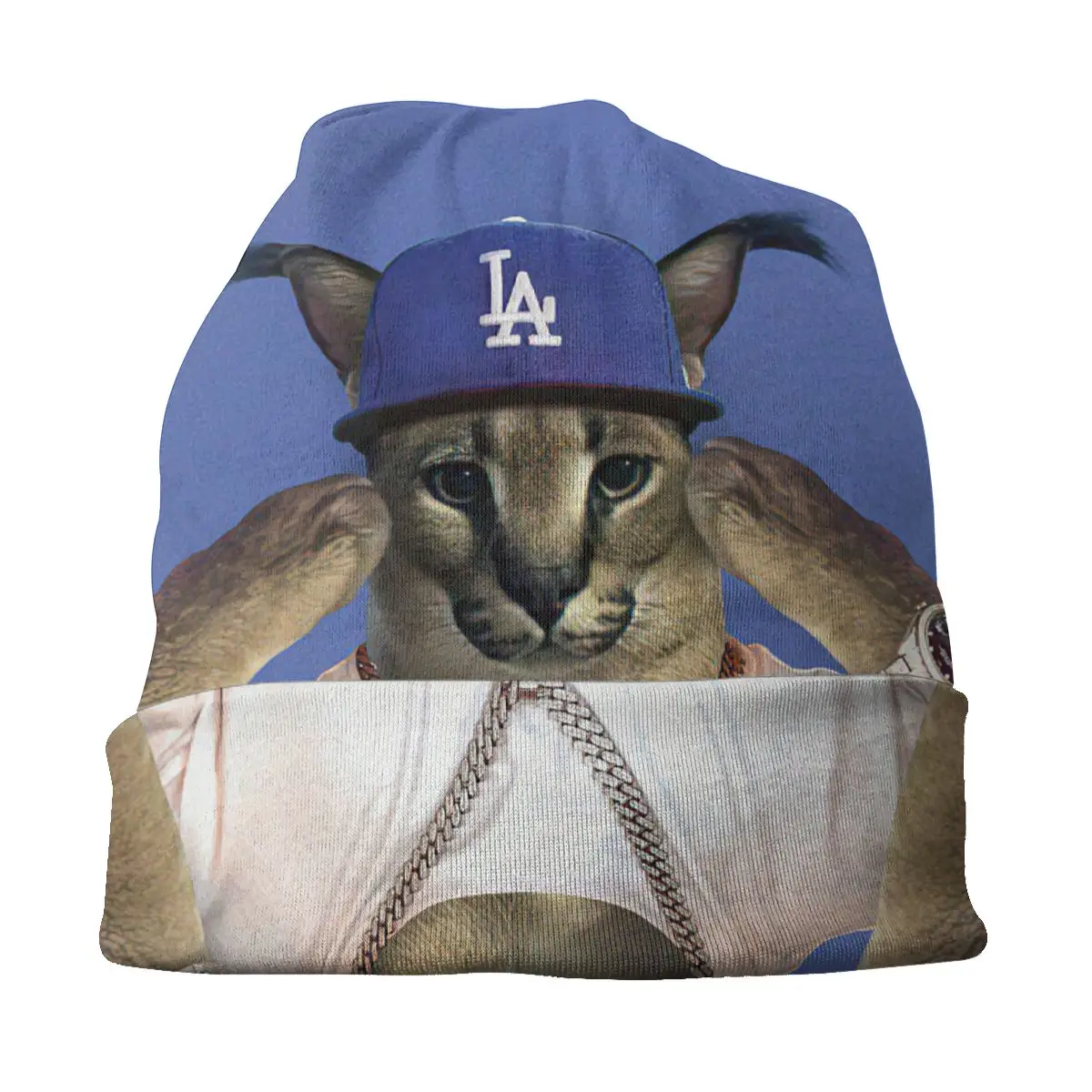 Hats Cap Memes, Men Baseball Cap Meme, Floppa Cat Meme