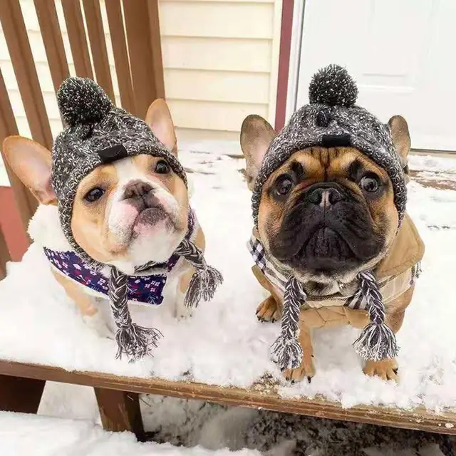 Winter Warm Dog Hats Windproof 4