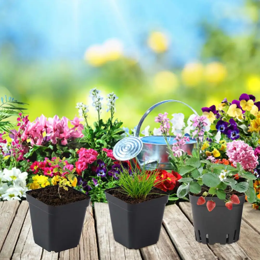 5,5cm/7cm/10cm Anzuchttöpfe zum Pflanzen, 50 Stück wiederverwendbare schwarze quadratische Setzlingstöpfe, Anzuchttopf mit Drainagelöchern, Garten-Set – Detail 2