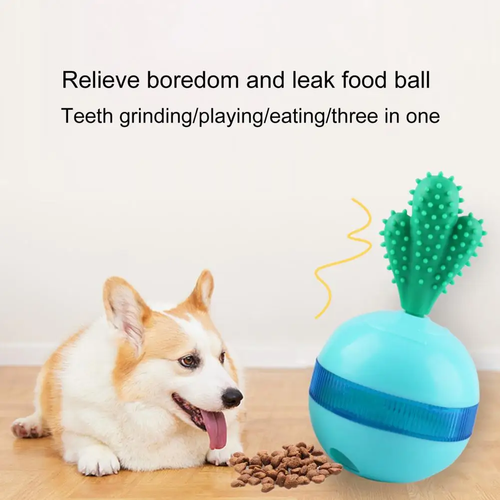 Giocattolo Per Alimenti Per Animali Domestici Altalena A 360 Gradi Giocattolo Per Cani Mangiatoia Per Animali Domestici Giocattolo Per Slow Food Tumbl